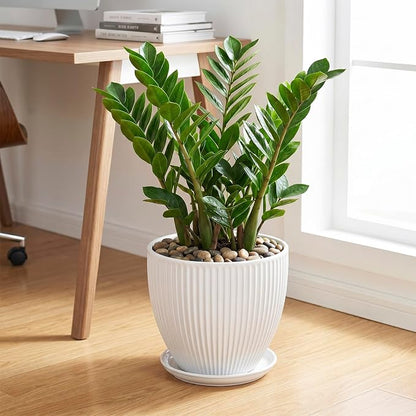 10 Inch Planter, Ceramic Plant Pots with Drainage Hole and Saucer, Modern Large Planters for Indoor Plants, Round Planter, Decorative Flower Pots, Living Room Decor, Gifts for Men Women, White