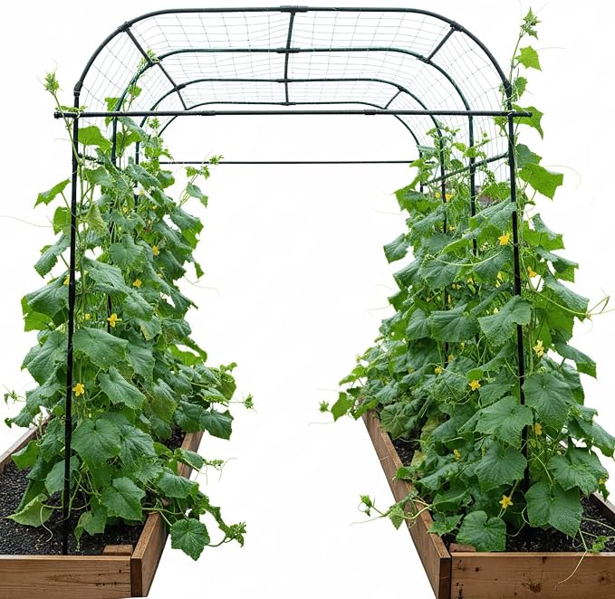 Wide Arch Trellis 7FT Extra Tall Garden Trellis Arch – Sturdy Plastic Coated Steel Metal Arch for Garden Climbing Plants & Vegetables, Weather-Resistant Outdoor Cucumber Trellis Arch