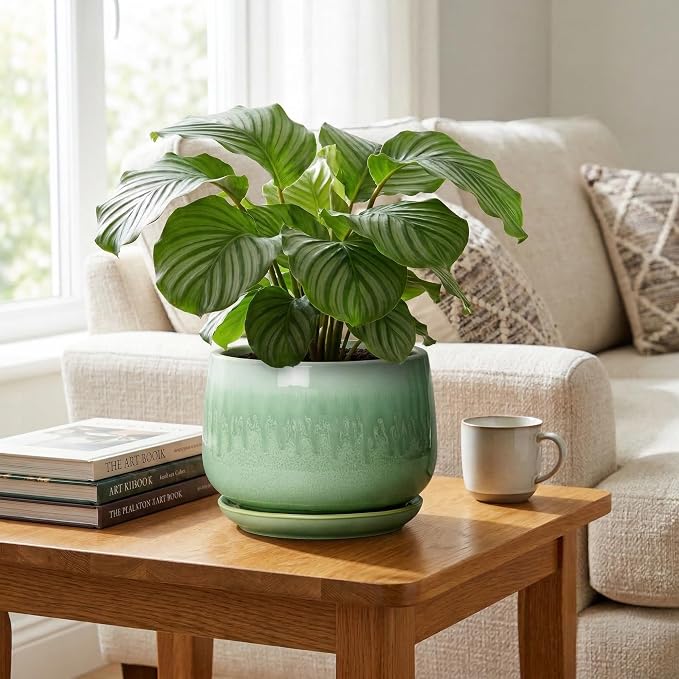 9 Inch Plant Pot - Ceramic Planter with Drainage Hole and Saucer, Decorative Ceramic Pots for Indoor Plants, Round Durable Flower Pot, Office House Patio Decor, Gifts for Plant Lovers, Green