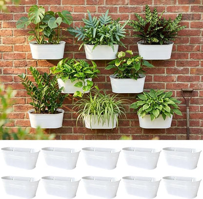 LaLaGreen Wall Planter (9.8 Inch, 10 Pack) White Oval Metal Hanging Decor Plant Holder Wall Planters for Indoor Plants Porch Plants Balcony Decoration Pot Baskets Pots Mounted Indoor Window Planters