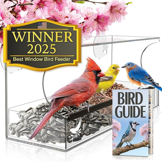 Window Bird Feeder by Nature’s Hangout - Award-Winning Clear Acrylic Bird Feeders for Outdoors, No Assembly, Strong Suction Cups, Bird Watching for Cats, Easy-to-Clean Birdhouse