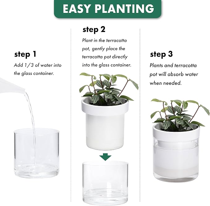 Phoenix Vine 4 Inch Self Watering Planter, White Terracotta Clay Pot with Glass Reservoir for Indoor Plants, Herbs, Flowers, Set of 1, 52-B-E-1