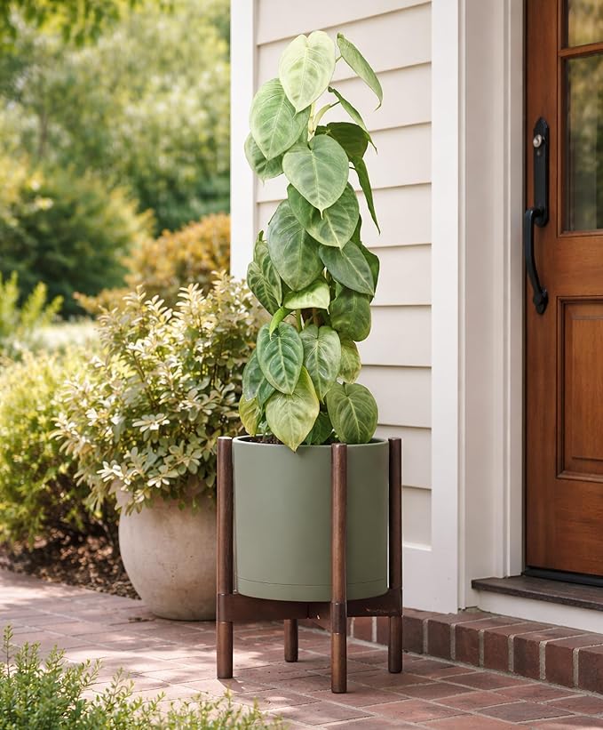 D'vine Dev Plastic Pot with Walnut Wood Stand, Olive, 10 in, 55-C-L-3 | Mid-Century Inspired Design, Elevated Plant Display, Clean Lines, Sturdy Support, Modern Space-Saving Style