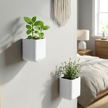 Phoenix Vine 3.5 Inch Wall Mounted Self-Watering Planter Pot for Indoor Houseplants and Herbs | Hanging Planter for Window Sills, Bathroom Walls, Home & Office Décor, White, Set of 3, 01-A-D-3