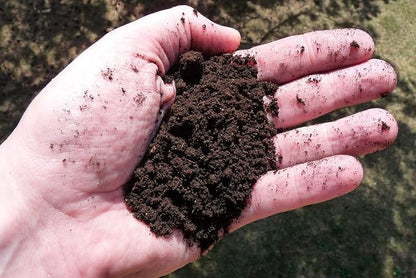 Earth Science Earthworm Castings – 3 lb—Premium Plant Fertilizer for Indoor & Outdoor Plants – Soil Enhancer for Vegetable Gardens