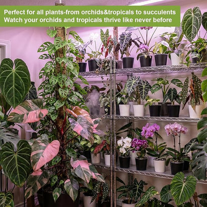 4 Pack of 7in and 5in Double-Layer Self-Watering Pot with Clear nusery Pot - Indoor Planter with Drainage for Root Visibility,semi Hydro pots for repotting Orchids,Aroid or Monstera,Black