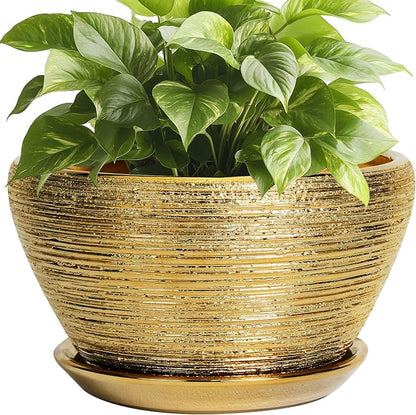 Ceramicfor Ceramic Plant Pot Indoor - 9 Inch Planters for Outdoor Plants Decorative Plant Pot with Drainage Hole and Saucer Round Planter Modern Flower Pot Decorative for House Decor Gold
