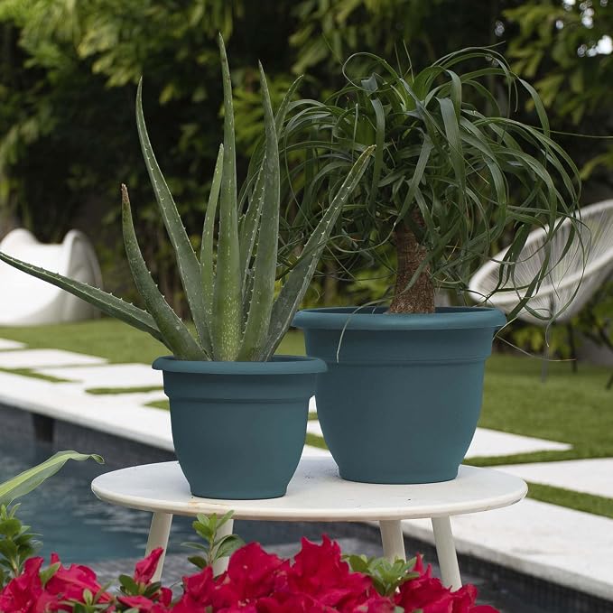 Bloem Ariana 8" Plastic Self-Watering Planter, Charleston Green, 4-Pack | Self-watering disk at the bottom of each pot that acts as a water wick and reservoir for optimal plant health