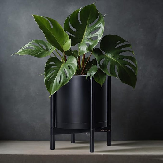 D'vine Dev Plastic Pot with Ebony Wood Stand, Black, 12 in, 55-C-Q-2 | Mid-Century Inspired Design, Elevated Plant Display, Clean Lines, Sturdy Support, Modern Space-Saving Style