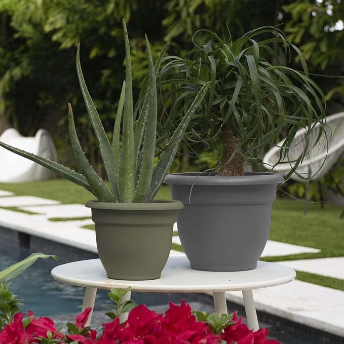 Bloem Ariana 8" Plastic Self-Watering Planter, Charcoal, 4-Pack | Self-watering disk at the bottom of each pot that acts as a water wick and reservoir for optimal plant health