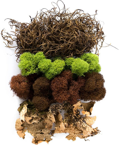 SuperMoss (23303) Moss Mix – Premium Decorative Moss for Crafts, Terrariums, Wedding & Table Décor, 80.75 cu in, Oregon