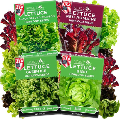 NatureZ Edge Lettuce Seeds for Planting, 4 Popular Varieties Non-GMO Heirloom Seeds, Red Romaine, Bibb Butter, Black Seeded Simpson, Green Ice Lettuce, Romaine, Salad Lettuce, Hydroponic Garden, USA