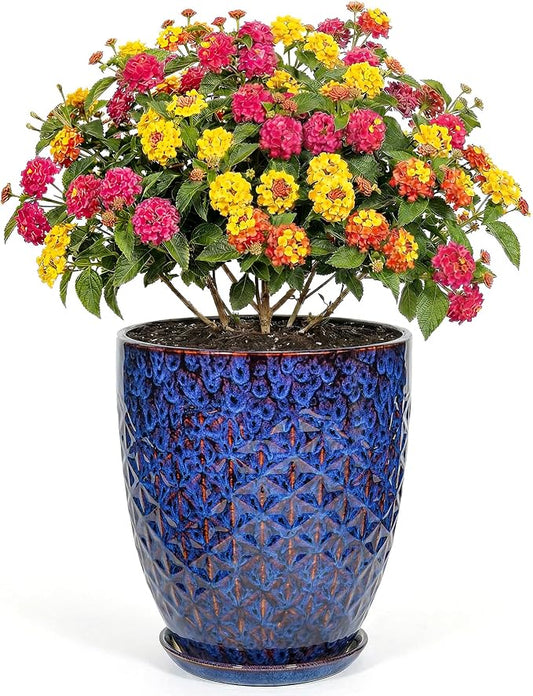 9.5 Inch Flower Pots for Indoor Plants,Ceramic Planter with Saucer Drainage Leak-Proof Mesh Gardening Gloves (Peacock-Blue)