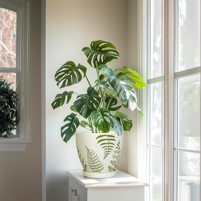 MPotTo Ceramic Plant Pot, 8.2 Inch, White | Boho Round Decorative, Indoor & Outdoor, Drainage Hole & Saucer, Housewarming Gift, Office Home Garden Decor
