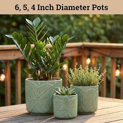 Ceramic Pots for Plants Set of 3, 6, 5, 4 Inch Diameter with Drainage Holes | Thick Durable Ceramic Pots, Plant Pots with Drainage Holes, Mesh Pads, Drain Plugs & Anti-Scratch Pads, Decorative Flower Pot