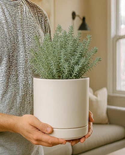 D'vine Dev 6.5 Inch Ceramic Planter Pot, Oatmeal, 94-O-C-8 | Modern Cylinder Design, Drainage Hole & Saucer Included, Stable Structure, Elegant Home Accent