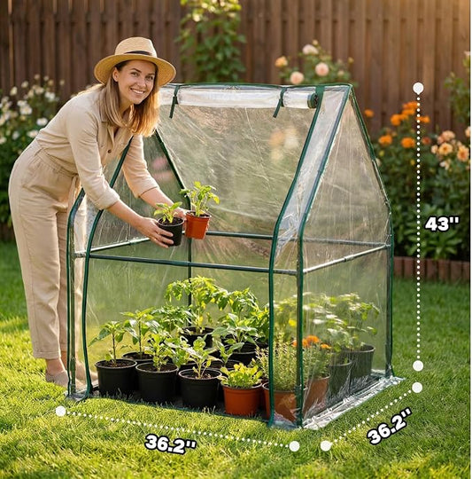 Portable Greenhouse for Outsides, 36x36x43 Inch Green House Tent with PVC Cover, Garden Plant Protector with Zippered Door for Vegetables Flowers Fruits Herbs