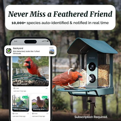 Kiwibit Smart Bird Feeder with 4K AI Camera Solar Powered | AI Identification Bird Species 10,000+, 4K Video Live Stream, 8MP Photos, Real-Time Bird Alert, Backyard Birdwatching Gift