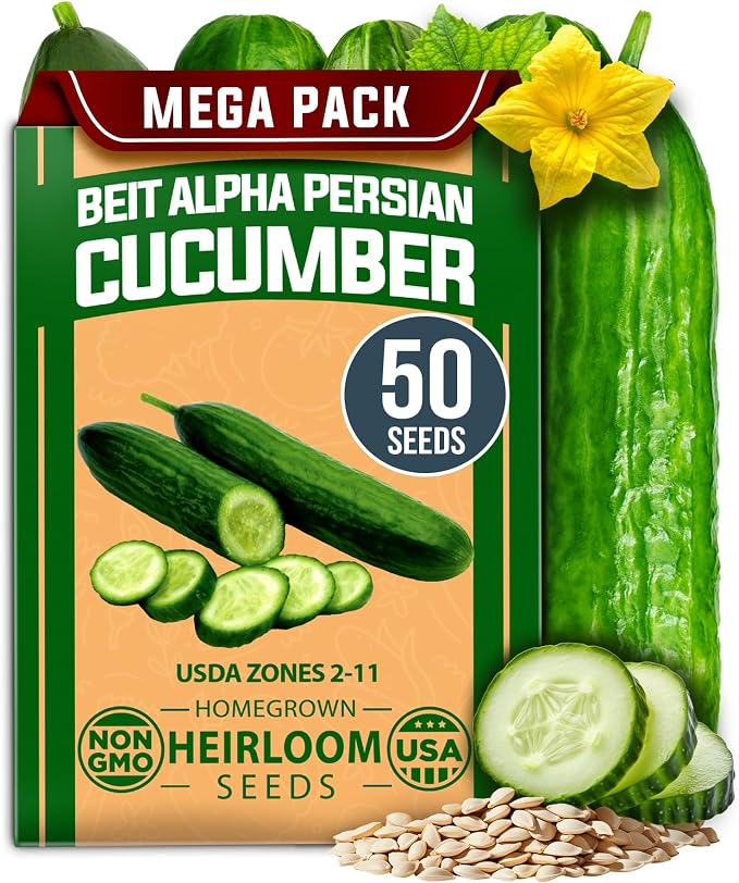 HOME GROWN Persian Cucumber Seeds 50+ Heirloom Non-GMO, Beit Alpha Variety, High Germination, Sweet Thin Skin, Burpless Snacking Cucumbers, Fast Growing, Indoor Outdoor Garden Crop (Cucumis sativus)
