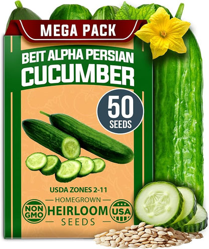 HOME GROWN Persian Cucumber Seeds 50+ Heirloom Non-GMO, Beit Alpha Variety, High Germination, Sweet Thin Skin, Burpless Snacking Cucumbers, Fast Growing, Indoor Outdoor Garden Crop (Cucumis sativus)