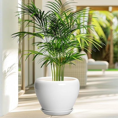 Ceramicfor Ceramic Pot for Plants - 8 Inch Ceramic Planter for Indoor Plants, Modern Round Planter with Drainage Hole and Saucer, Plant Lover Gifts, Home Office Garden Decor, White