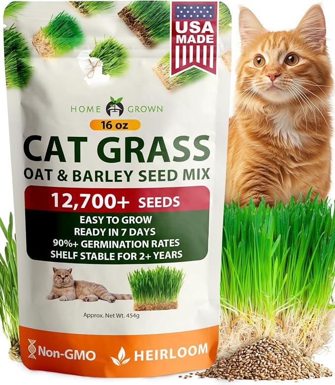 HOME GROWN Non GMO 1 Pound Cat Grass 12,700+ Seeds & Kittens Oat & Barley Mix 100% Heirloom, Grow Fresh Kitty for Chewing, Pet Indoor Garden