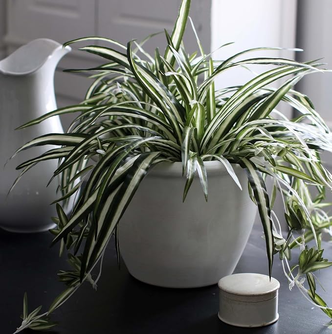 The HC Companies Sevilla Flower Planters - Outdoor & Indoor Planter - Round Self Watering Plant Pots for Herbs & More (12”, White, Pack of 1)