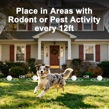 24Pack Skunk & Raccoon Repellent Outdoor - Natural Animal Deterrent for Yard, Garden, Trash Cans, Attic, Patio, Garage, Long Lasting Outdoor Repellent
