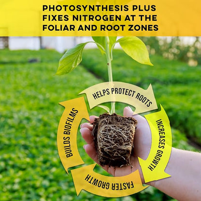 Microbe Life Hydroponics Premium Photosynthesis Plus to Grow Fruits, Vegetables, and Herbs, The Best Professional Big Bud Grow, Use with Any Feeding Systems Including Hydroponics or Soil, 2.5 Gallons
