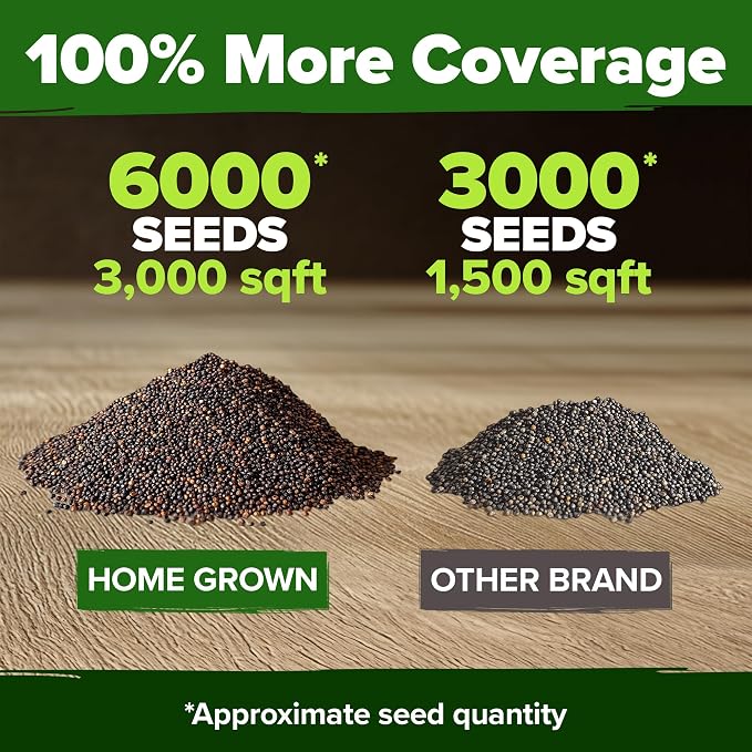HOME GROWN American Legion Red Poppy Seeds - 6,000 Vibrant Wildflower Seeds for Planting Outdoors - Annual Poppy Flowers - Memorial Garden & Pollinator Friendly (Papaver rhoeas)
