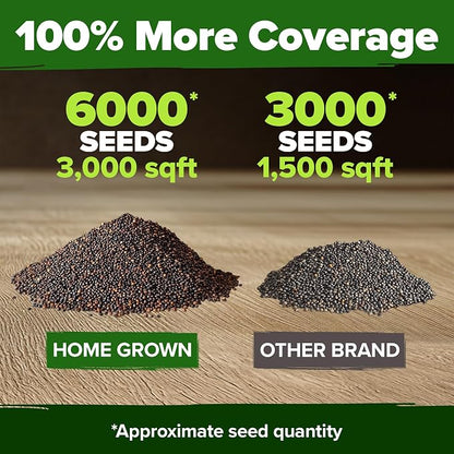 HOME GROWN American Legion Red Poppy Seeds - 6,000 Vibrant Wildflower Seeds for Planting Outdoors - Annual Poppy Flowers - Memorial Garden & Pollinator Friendly (Papaver rhoeas)