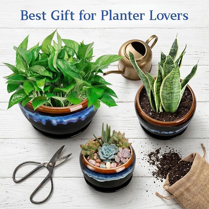 AVLA 3 Pack Ceramic Flower Pots, Gardening Drip Glazed Planter, Plant Pot with Drainage Hole and Saucer, 7/5/4 Inch Rustic Houseplant Container for Succulent Herbs Cactus Orchid, Home Indoor Outdoor