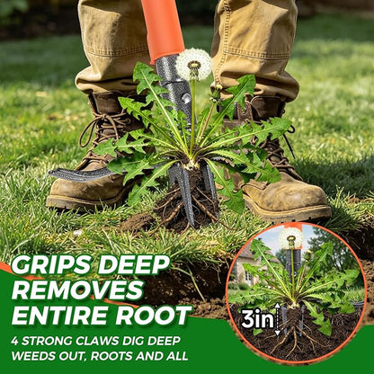 Stand Up Weed Puller Tool, 4-Claw Steel Head Deep Root Extractor with Dual-Eject Design, Real Bamboo Long Handle & Metal Anti-Slip Pedal, No Bending Dandelion Remover for Garden Lawn Yard