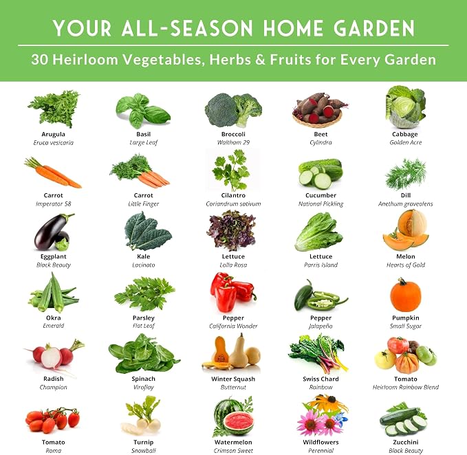 Survival Garden Seeds Home Garden Vegetable Seed 30 Variety Pack | Heirloom Family Seed Vault for Planting Non-GMO Vegetables, Herbs, Fruit – Emergency Preparedness Survival Food Grow Kit