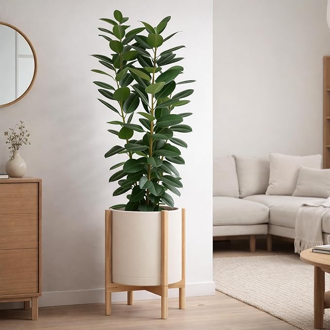D'vine Dev Plastic Pot with Natural Wood Stand, Oatmeal, 14 in, 55-C-S-4 | Mid-Century Inspired Design, Elevated Plant Display, Clean Lines, Sturdy Support, Modern Space-Saving Style