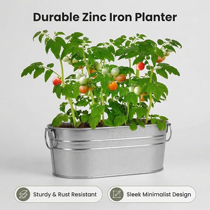 Tomato Grow Kit - All-in-One Indoor Vegetable Garden Starter Kit with Metal Planter, Complete Growing Set for Beginners, Kitchen Windowsill, Home Gardening & Plant Lovers Gift