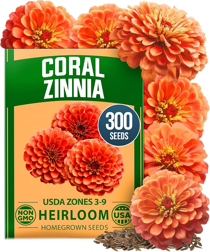 HOME GROWN Coral Zinnia Seeds (1g) – 300 Zinnia elegans Annual Flower Seeds for Planting Outdoors – Heat Tolerant Easy Summer Flowers to Plant – Herb Seed Companion for Pollinator Garden Beds for 2026