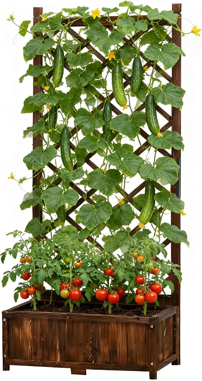 Anraja Raised Garden Bed with Trellis Wooden Flower Standing Planter Box Outdoor Wood Compact Lattice Panels Privacy Screen for Climbing Plant Planting Patio Tomato Vegetable Herb Balcony Porch 67" H