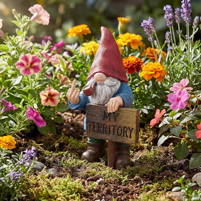 Lavezee Funny Garden Gnome, Middle Finger Gnomes Statue with Solar Lighted Sign – “My Territory” for Patio Backyard Porch Outdoor, Humorous Housewarming Gifts for Men Dad Husband