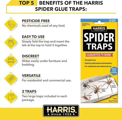 Harris Spider Glue Traps, Pesticide Free (2-Pack), Kills Brown Recluse, Hobo Spider, Black Widow and More