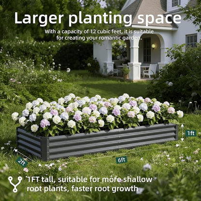 2PCS 6x2x1 FT Rectangle Metal Raised Garden Bed Kit, Elevated Garden Planter Box Outdoor, Large Planters for Outdoor Plants, Flower, Vegetables, Fruit, Herbs (Dark Gray)