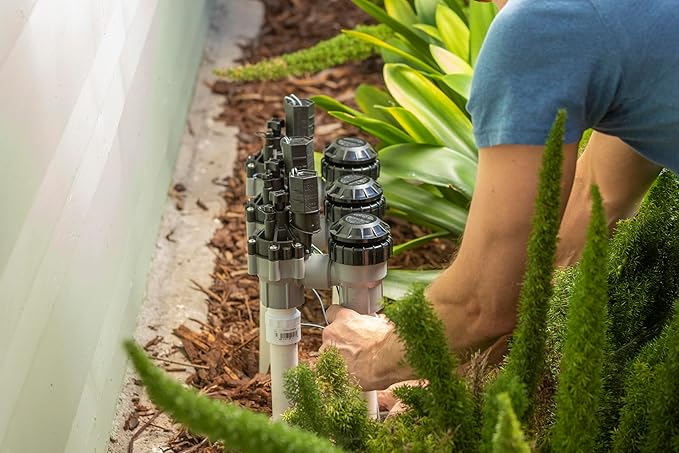 Rain Bird DASASVF100 Professional Grade Anti-Siphon Valve with Flow Control, 1" Threaded Female x Female (Pack of 5)