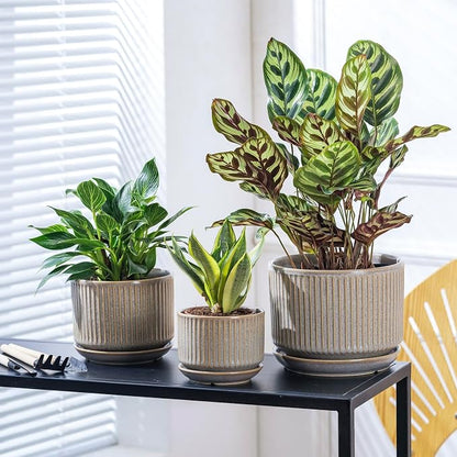 SURE YUESI Ceramic Plant Pots Set of 3, Indoor Outdoor Planters with Drainage Hole and Saucer, Ceramic Flower Pots for Indoor Plants, 4.3+5.5+6.8 Inch, Home, Garden, Patio and Office, Matte Grey