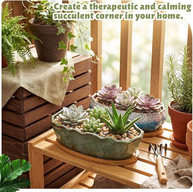 Succulent Pot 11 Inch Large Succulent Planters with Drainage Ceramic Bonsai Pot with Bamboo Tray Round Shallow Planter for Indoor Cactus Flower Planter Window Box for Home Garden Decor (Green)
