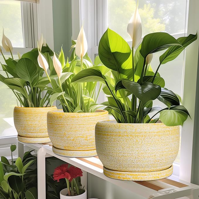 SQOWL Ceramic Planters for Indoor Plants - 10 Inch Plant Pot with Drainage Hole and Saucer, Round Ceramic Flower Pot Outdoor, Decorative Large Planter, Office Decor, Gifts for Women Men, Yellow