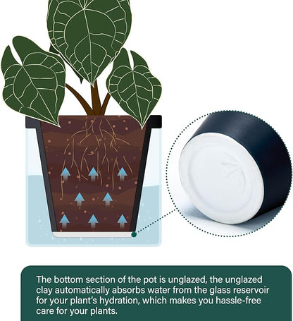 D'vine Dev 6 Inch Design Self Watering Planter for Indoor Plants, Black Terracotta Pot with Cylinder Glass Cup, Set of 2, 37-Y-B-3