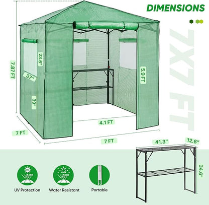 EAGLE PEAK 7x7 Portable Walk in Greenhouse, Pop Up Indoor Outdoor Greenhouse, Green House Kit with Zippered Roll-Up Doors and Windows + Mesh Lining & 2 Foldable Shelves, PE Cover, Clear/Green