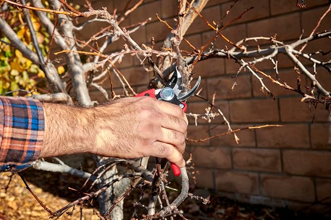 Corona BP 4180 Non-stick Steel Angled Bypass Hand Pruner - 5/8 inch Cut Capacity Stem and Branch Garden Shears, Red (Pack of 6)