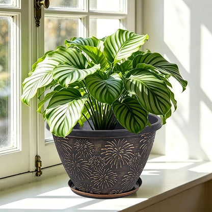 Nooulap 6 Pack 8 Inch Plant Pot, Flower Pots for Indoor Outdoor, Durable Decorative Planters for House Garden Plants Herbs Flowers Succulents, Antique Gold Firework Embossed Design