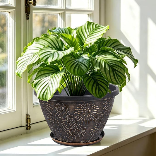 Nooulap 4 Pack 10 Inch Flower Pots with Drainage Holes and Saucers, Plant Pots for Indoor Outdoor Plants,Antique Gold Firework Embossed Plastic Planters for Balcony Patio Porch Garden Decor